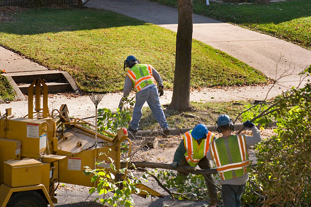 Mulching Services in Goreville, IL